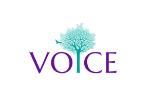 South College partners with nonprofit VOICE on assisting victims of domestic violence